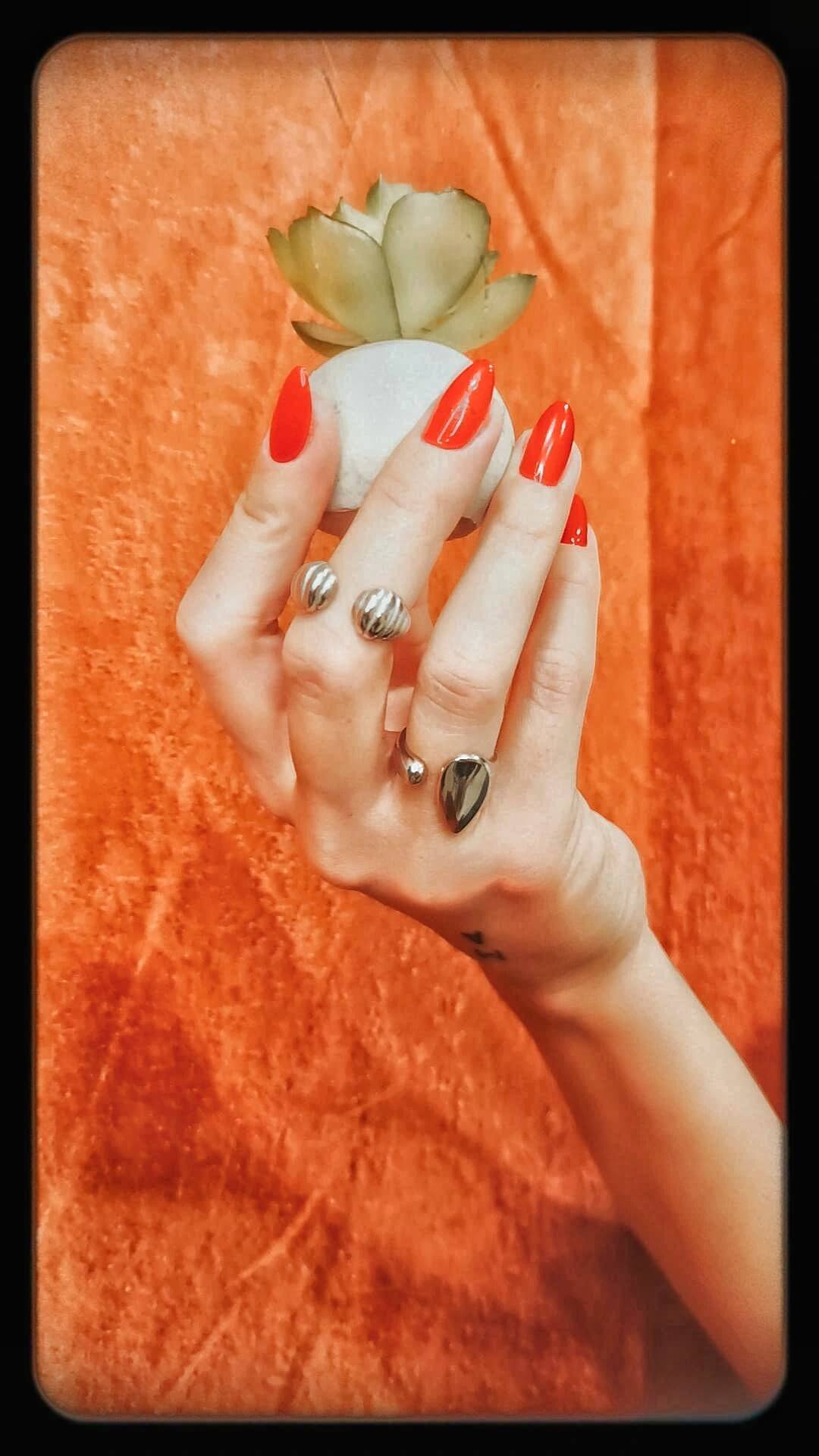 The velvet wings ring - Pajaritos