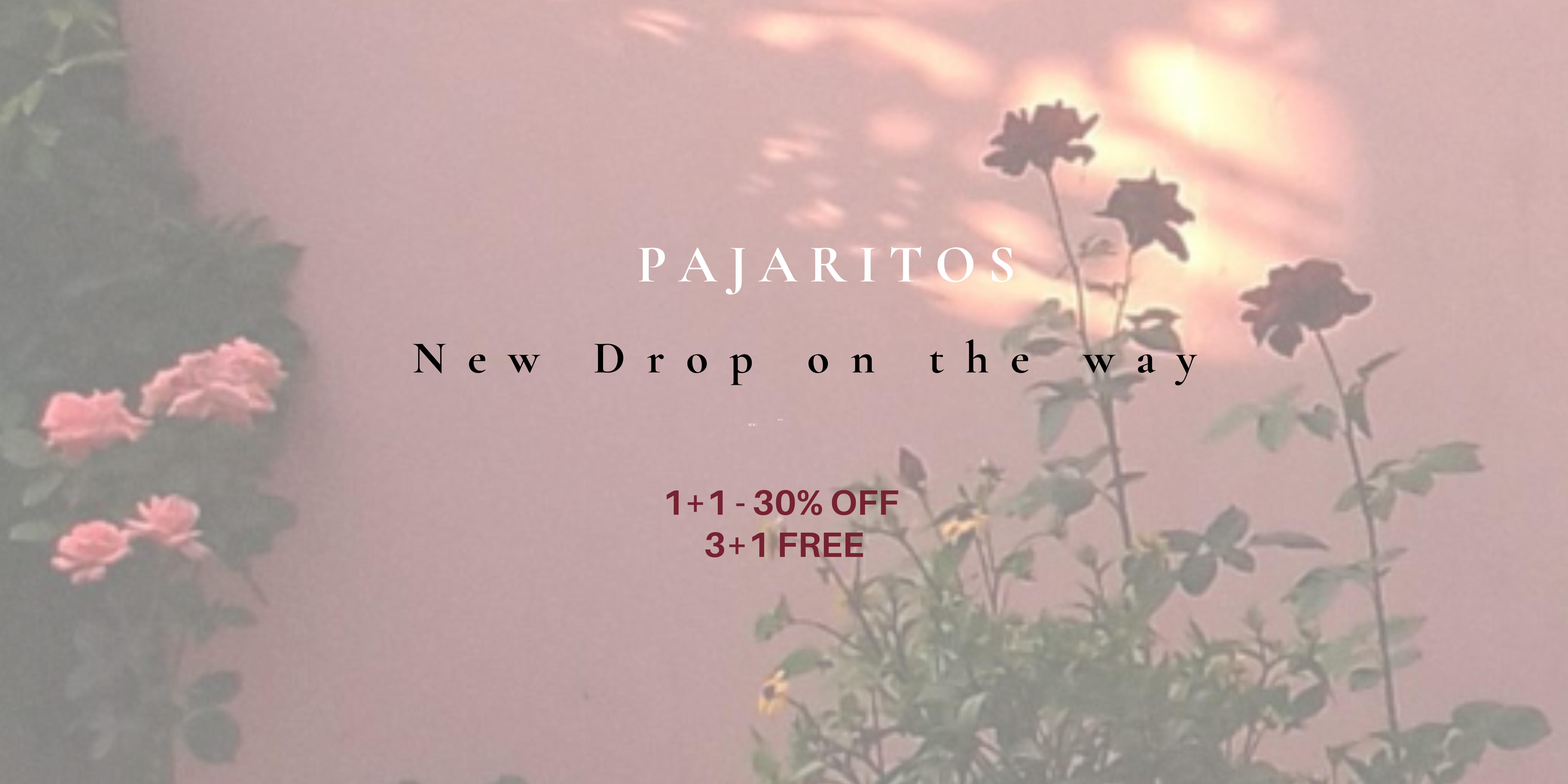 Banner For E Shop 2